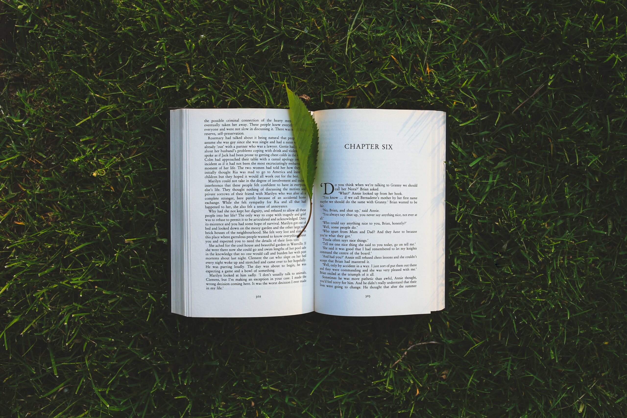 A book in the grass opened to "chapter six" with a leaf bookmark