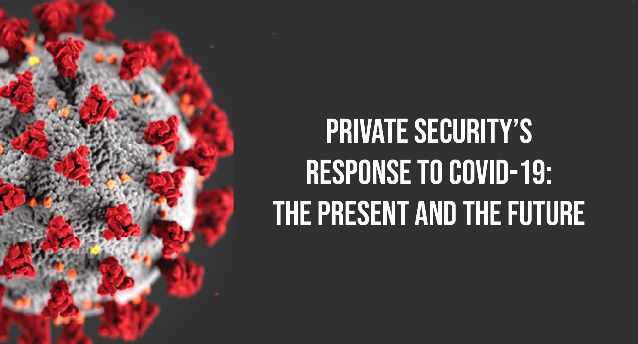 Private Security's response to COVID-19: The present and the future